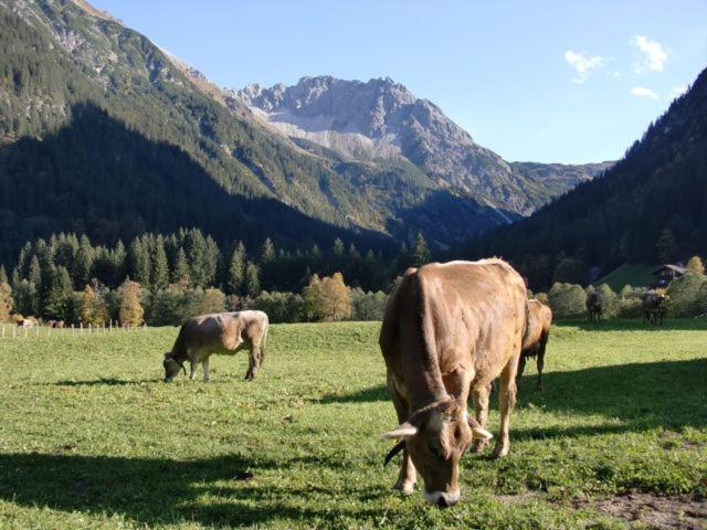 Aparthotel Walliser Stube Mittelberg Exteriér fotografie